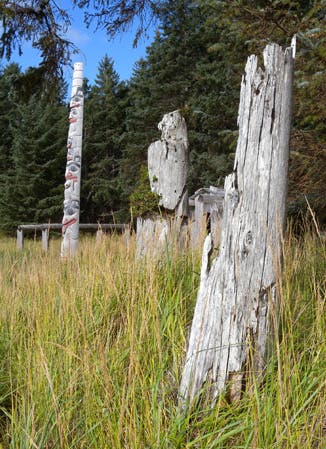 Photo of ancient Haida totems.